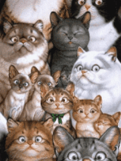 Funny Screensavers 0119